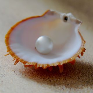 Polvere di madreperla