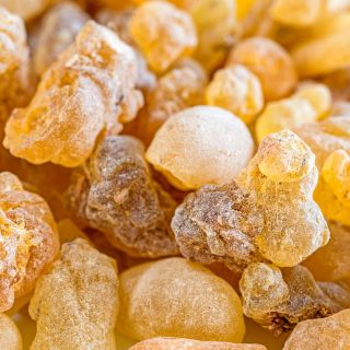 Estratto di boswellia serrata